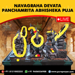 Participate in Navaratri Paadyami Vishesha Navagraha Panchamrita Abhisheka Puja in Udupi on 3rd October, 2024 seeking the grace of all the Nine Celestial Planets, good health, longevity, career, jobs, prosperity and wealth