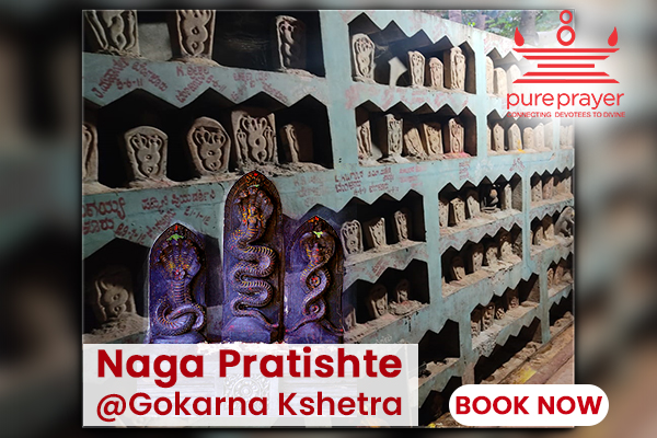 Perform Naga Pratishte with Vedic Pandits from PurePrayer in Gokarna Kshetra