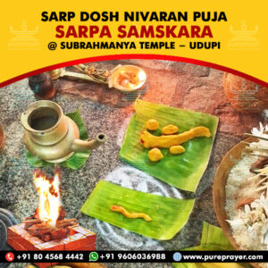 PurePrayer provides highly meritorious and Best Vedic Pandits for Sarpa Samskara Pooja and offers  Udupi Kshetra for performing the ritual and Pujas