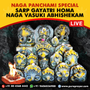 Participate in Navaratri Naga Panchami Special Naga Vasuki Abhishekam Puja with Sarp Gayatri Homa Online seeking blessings and benevolence of the Serpent God, Good Health, Longevity and addressing Sarpa Dosha, on 8th October, 2024 at Sri Naga Vasuki Temple, Udupi