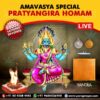 Participate in Amavasya Special Pratyangira Homam Online in Kumbakonam on 2nd September, 2024 seeking removal of obstacles, relief from debts, and protection from negative forces