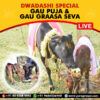 Participate in Dwadashi Special Samoohik Gau Puja or Go Puja Online at Udupi seeking the blessings of Go Maata, Gods and Goddess residing in cow and Navagrahas.