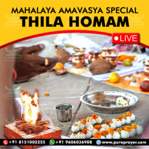 Participate in Mahalaya Amavasya Special Thila Homam Online on 1st October, 2024 at Srirangapatna Kshetra Gau Shaala to overcome the malefic effects of Pitru Doshas and receive Pitru Devata blessings