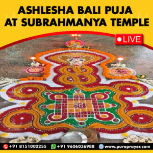 Participate in Ashlesha Bali Puja Online on 1st Sept., 2024 at Subrahmanya Temple, Udupi, seeking protection and relief from Sarpa Dosh, Naga Dosh, Kuja Dosham (Manglik Dosh) and Kala Sarpa Dosh