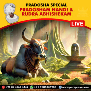 Participate in Pradosha Special Nandi & Rudrabhishekam Online at Kumbakonam, Tamil Nadu on 30th September 2024 propitiating Lord Shiva through Nandi for Good Health, Longevity, Prosperity and Wealth. Receive the Energized Panchamukhi Rudraksh as Prasadam