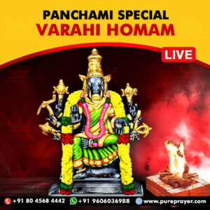 Participate in Panchami Special Varahi Homam on 8th September, 2024 Online at Kumbakonam of Tamil Nadu, seeking Positivity and Progress in Business/Life, destruction of enemies