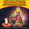 PurePrayer provides best and highly meritorious Pandits, Purohits or Vadhyars to perform Pratyangira Homam or Pratyangira Devi Havan at important Kshetras like Kumbakonam, Sholinganallur, even in cities like Hosur, Bengaluru for performing the Homam