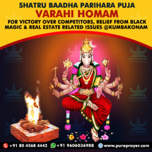 Perform Varahi Homam as a Shatrubaadha Puja at Kumbakonam of Tamil Nadu, seeking Positivity & Progress in Business/Life, destruction of enemies.