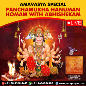 Participate in Amavasya Special Pancha Mukha Hanuman Homam+Abhishekam Online at Kumbakonam, Tamil Nadu on 2nd October, 2024 seeking health, welfare, peace and harmony for your family