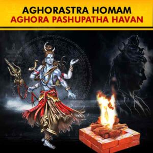 Perform Aghora Pashupata Homam as a Shatru Badha Puja in select Kshetras seeking seeking protection from evil eye, black magic, and negative spirits, success in legal matters and benevolence of Lord Shiva.