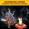 Perform Aghora Pashupata Homam as a Shatru Badha Puja in select Kshetras seeking seeking protection from evil eye, black magic, and negative spirits, success in legal matters and benevolence of Lord Shiva.