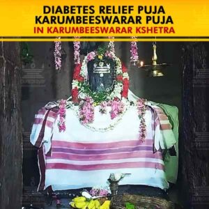 Book Diabetes Relief Puja | Karumbeeswarar Puja in Karumbeeswarar Kshetra of Tamil Nadu, seeking the grace and benevolence of Lord Shiva. Diabetics visit this Kshetra and offer Pujas, seeking to cure their Diabetes