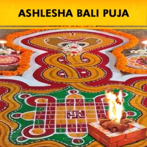 Book the best Vedic Pandits and Purohits for performing Ashlesha Bali Puja or Ashleshabali Homa in Bangalore and important Teertha Kshetras 