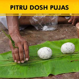 Pitru Dosh Pujas