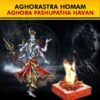 PurePrayer provides best and highly meritorious Pandits for performing Aghorastra Homam or Aghora Pashupatha Havan and offers important Kshetras for performing the Homam or Havan