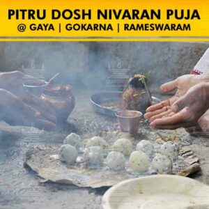 PurePrayer provides best experienced and Vedic Pandits, Pujaris, Purohits, Vadhyars for a Hassle-free Pitru Dosh Nivaran Puja