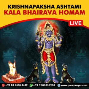 Participate in Kaalashtami or Theipirai Special Kala Bhairava Homam Online on 24th Oct., 2024 in Swarnakarshana Bhairavar temple near Kumbakonam seeking Protection from Negative forces (Aapath Haran), fear, Birth-Chart related Doshas