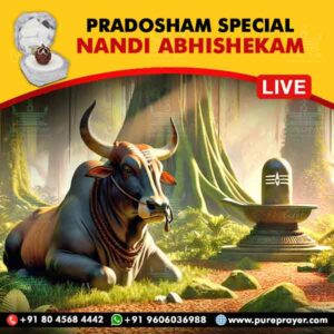 Participate in Pradosham Special Nandi Abhishekam Online at Kumbakonam, Tamil Nadu on 28th October 2024 propitiating Lord Shiva through Nandi for Good Health, Longevity, Prosperity and Wealth. Receive the Energized Panchamukhi Rudraksh as Prasadam