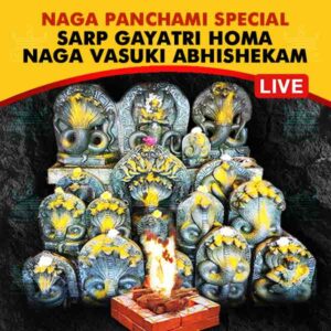 Participate in Karthik Naga Panchami Special Naga Vasuki Abhishekam Puja with Sarp Gayatri Homa Online seeking blessings and benevolence of the Serpent God, Good Health, Longevity and addressing Sarpa Dosha, on 6th November, 2024 at Sri Naga Vasuki Temple, Udupi