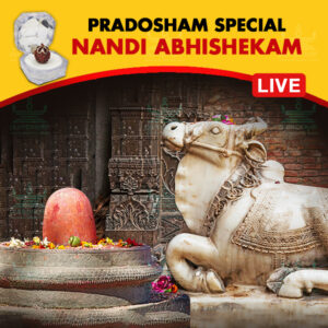 Participate in Pradosham Special Nandi Abhishekam Online at Kumbakonam, Tamil Nadu on 28th November 2024 propitiating Lord Shiva through Nandi for Good Health, Longevity, Prosperity and Wealth. Receive the Energized Panchamukhi Rudraksh as Prasadam