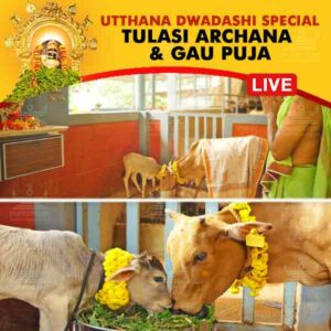 Participate in Utthan Dwadashi Special Tulasi Archana + Samoohik Gau Puja or Go Puja Online at Udupi seeking the blessings of Sri Krishna, Go Maata, Gods and Goddess residing in cow and Navagrahas