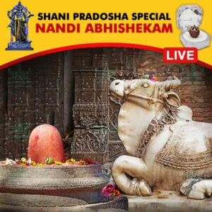 Participate in Pradosham Special Nandi Abhishekam Online at Kumbakonam, Tamil Nadu on 28th December 2024 propitiating Lord Shiva through Nandi for Good Health, Longevity, Prosperity and Wealth. Receive the Energized Panchamukhi Rudraksh as Prasadam