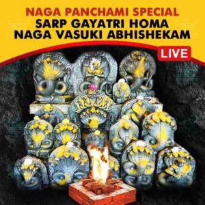 Participate in Margasheersh Naga Panchami Special Naga Vasuki Abhishekam Puja with Sarp Gayatri Homa Online seeking blessings and benevolence of the Serpent God, Good Health, Longevity and addressing Sarpa Dosha, on 6th December, 2024 at Sri Naga Vasuki Temple, Udupi