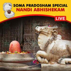 Participate in Soma Pradosham Special Nandi Abhishekam Online at Kumbakonam, Tamil Nadu on 27th January 2025 propitiating Lord Shiva through Nandi for Good Health, Longevity, Prosperity and Wealth. Receive the Energized Panchamukhi Rudraksh as Prasadam