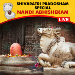 Participate in Pradosham Special Nandi Abhishekam Online at Kumbakonam, Tamil Nadu on 25th February 2025 propitiating Lord Shiva through Nandi for Good Health, Longevity, Prosperity and Wealth. Receive the Panchamukhi Rudraksh as Prasadam