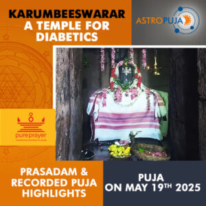 Participate in Karumbeeswarar Puja Online at Karumbeeswarar Temple on 19th May, 2025 seeking Good Health, Diabetes Relief, Long Life and Well-Being